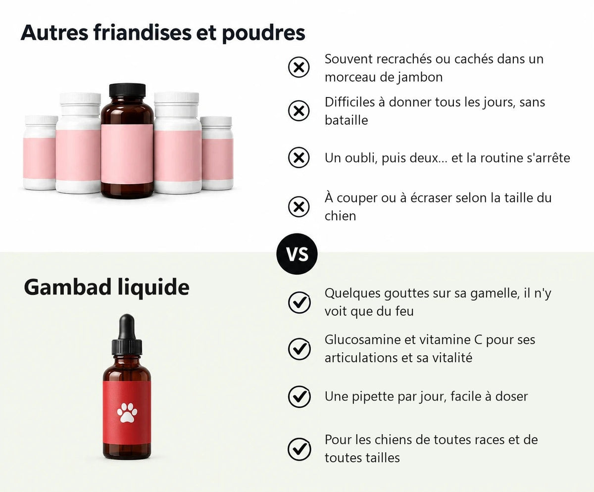 Comparatif : comprimés et friandises contre Gambad liquide