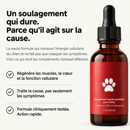 Flacon Gambad NAD+ : un soulagement qui dure
