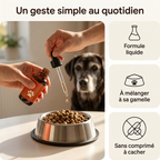 Gambad : formule liquide à mélanger à la gamelle, sans comprimé à cacher.